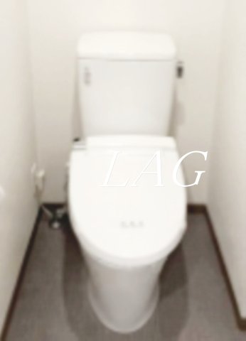 トイレ　トイレです。