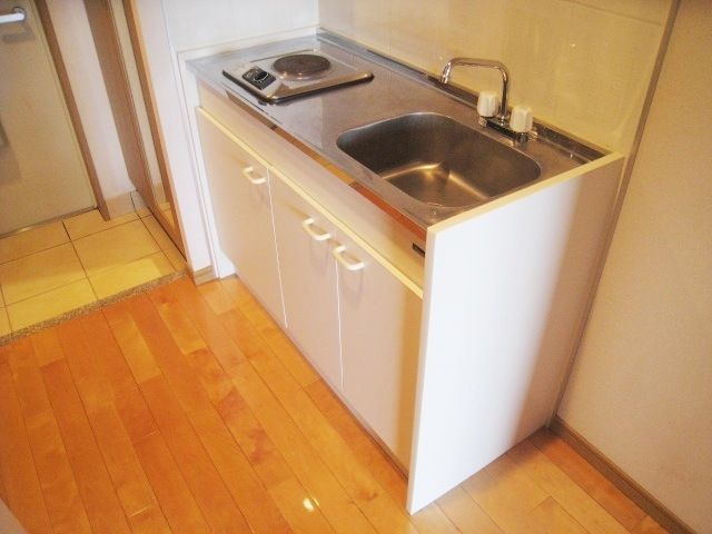 キッチン　学生専用なので広くはないですが充分だと思います