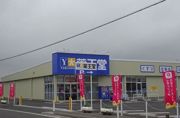 ドラックストア　薬王堂八戸河原木店（ドラッグストア）まで700m