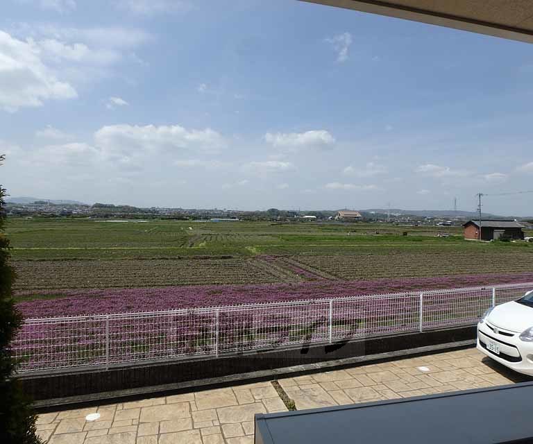 眺望