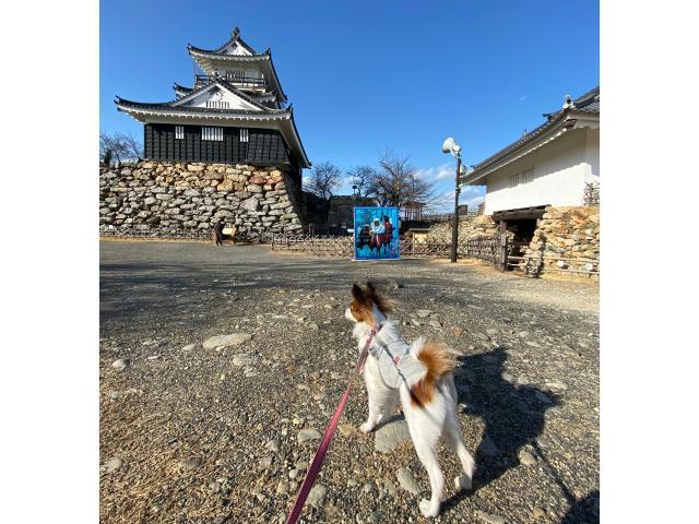 公園　浜松城公園、美術館、スターバックス（公園）まで364m