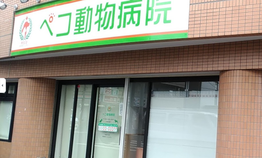病院　ペコ動物病院（病院）まで76m