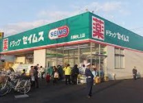 ドラックストア　ドラッグセイムス川崎矢上店（ドラッグストア）まで126m