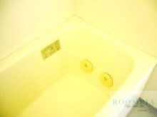 バス・シャワールーム　※同タイプの別のお部屋です。