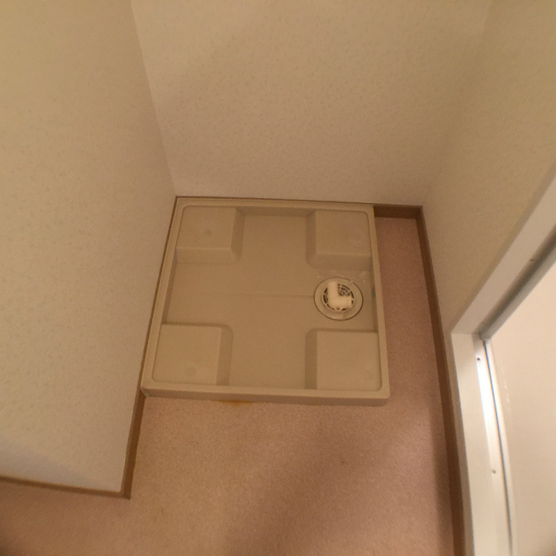 その他　同型