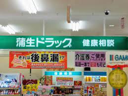 ドラックストア　蒲生ドラッグ（ドラッグストア）まで145m