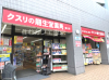 ドラックストア　龍生堂薬局国立店（ドラッグストア）まで670m