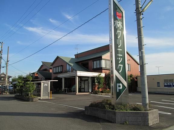 病院　林クリニック（病院）まで250m