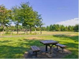 公園　柏の宮公園（公園）まで464m