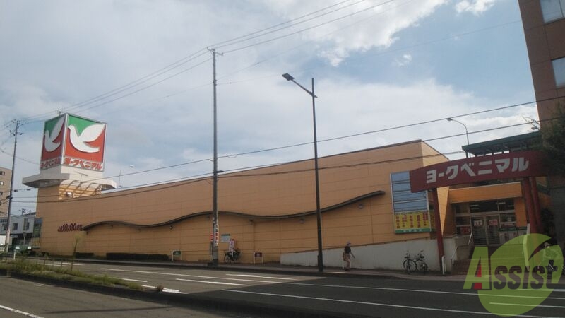 スーパー　ヨークベニマル真美沢店（スーパー）まで619m