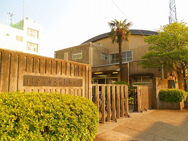 小学校　国分寺市立第十小学校（小学校）まで507m