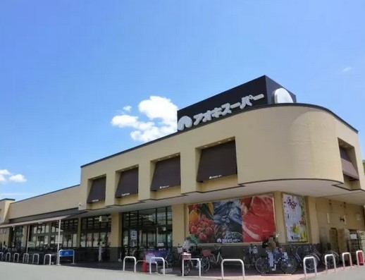 スーパー　アオキスーパー上飯田店（スーパー）まで674m