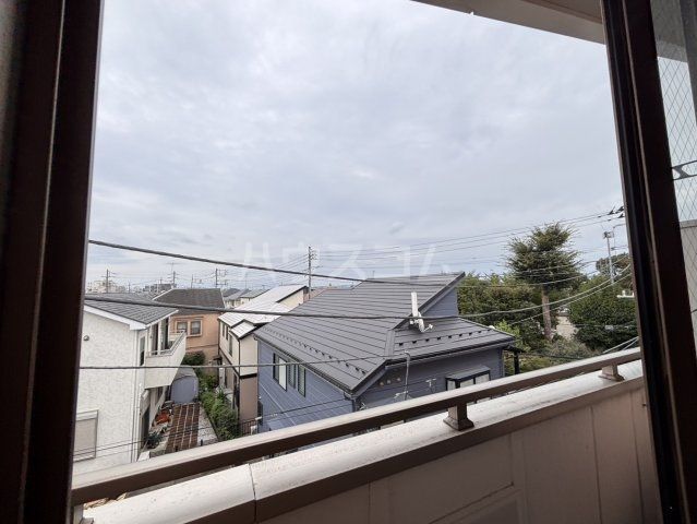 セビラーナのその他写真
