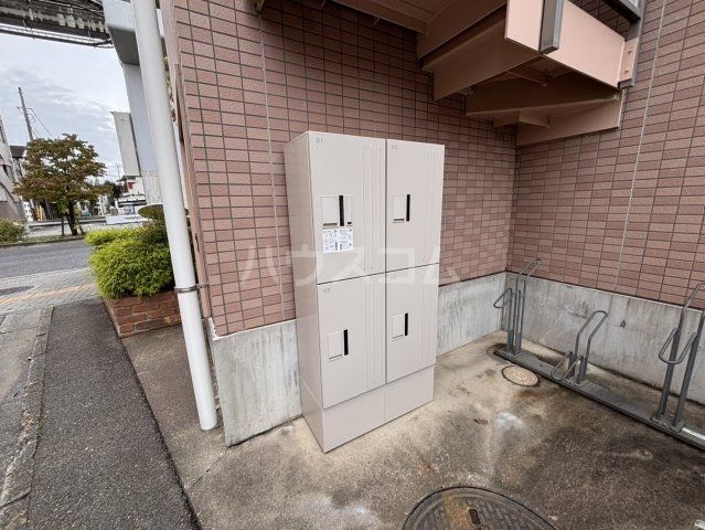 セビラーナのその他写真