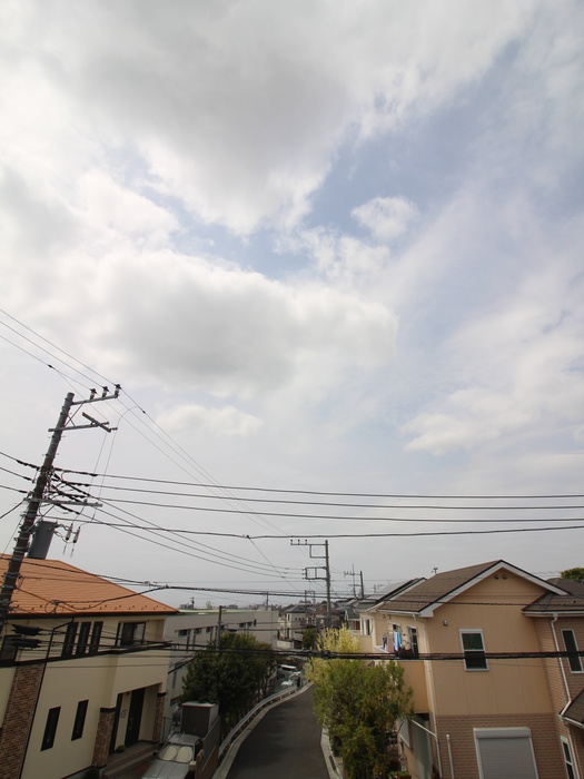 ステラル-チェのその他写真