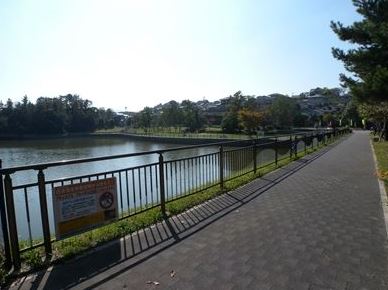 公園　自由ケ丘中央公園（公園）まで900m
