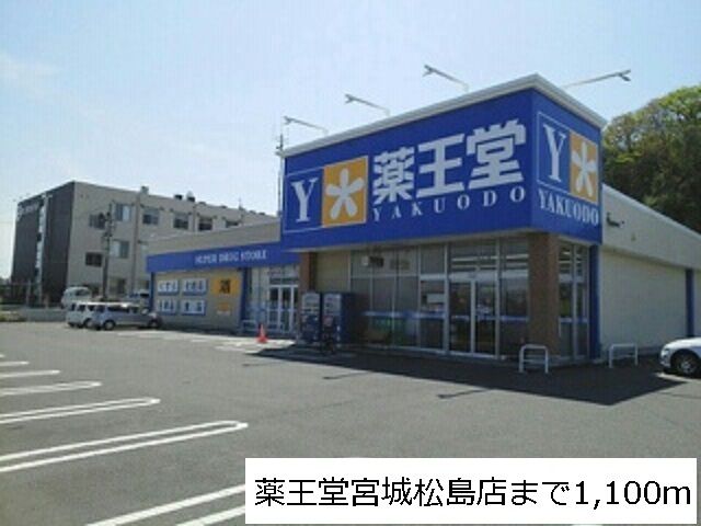 ドラックストア　薬王堂宮城松島店（ドラッグストア）まで1100m