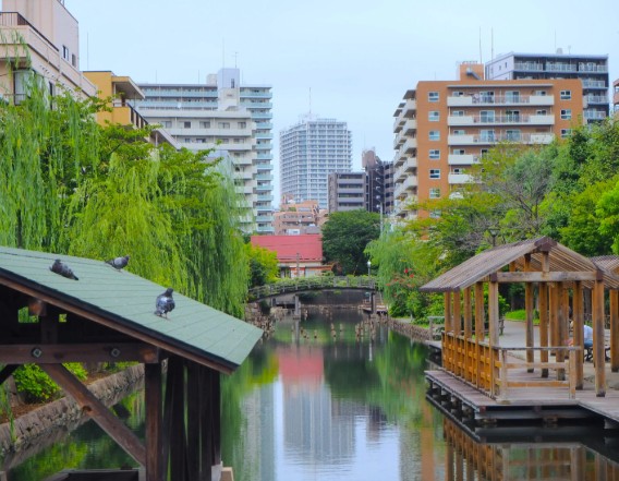公園　木場親水公園（公園）まで420m