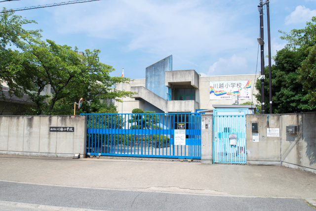 小学校　枚方市立川越小学校（小学校）まで384m