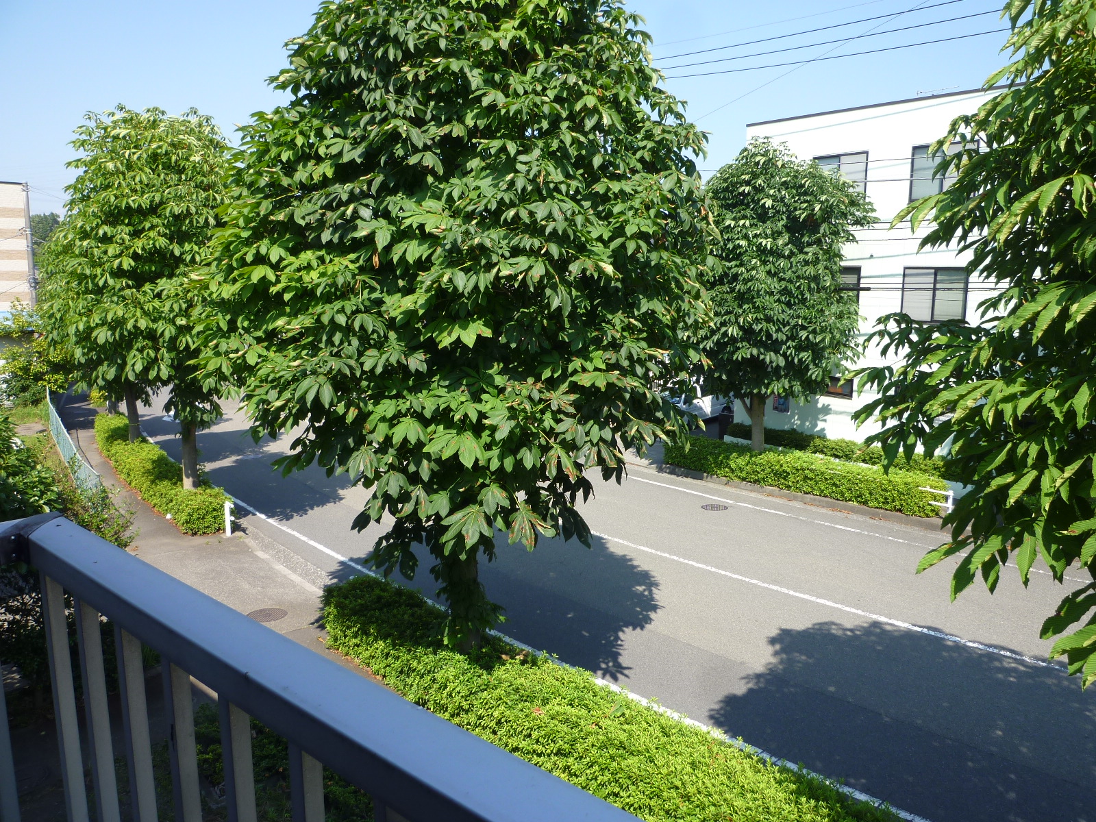 眺望　生活道路に面する日当たり良好な物件！