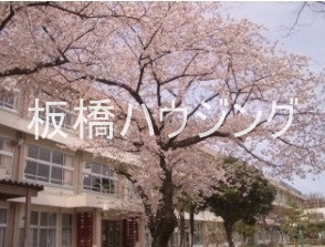 小学校　板橋区立三園小学校（小学校）まで354m