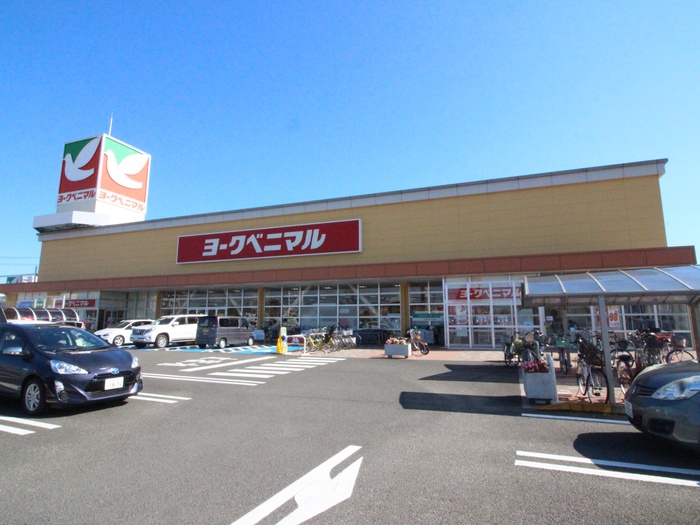 スーパー　ヨークベニマル遠見塚店（スーパー）まで1100m