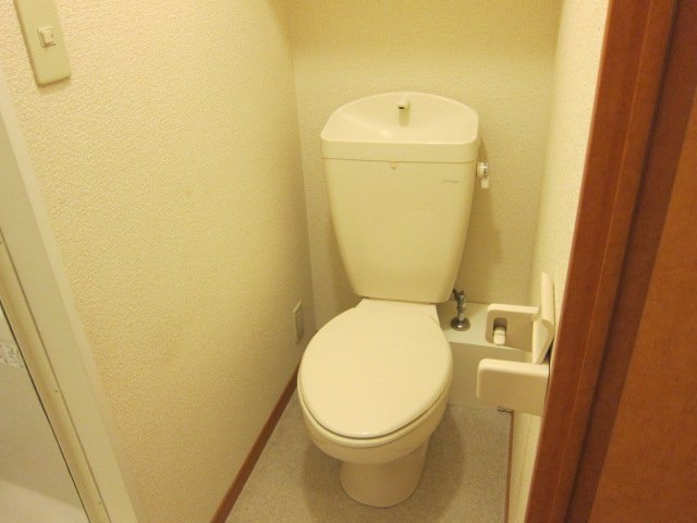 トイレ　同物件、別号室のものです。