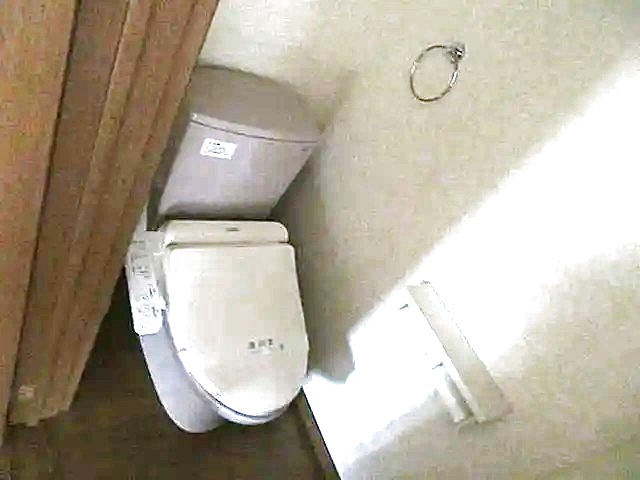 トイレ　【参考画像】別のお部屋の画像になります。