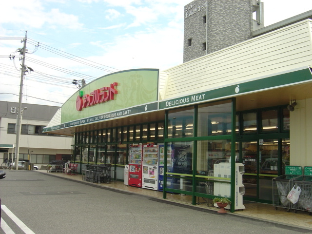 スーパー　アップルランド宮渕店（スーパー）まで722m
