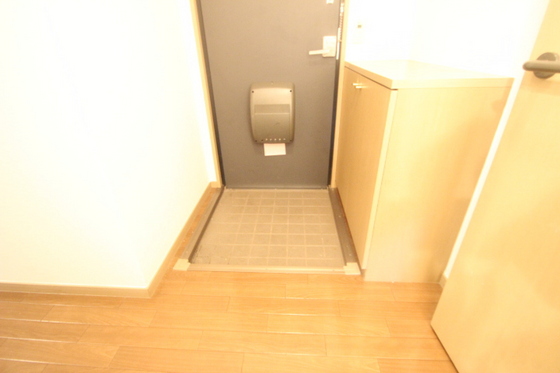 玄関　※別のお部屋の写真