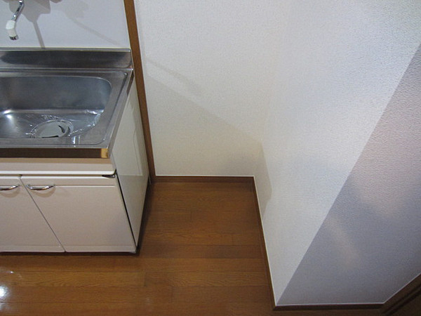 その他　独立洗面台あり、毎朝おしゃれに忙しい女性の方におすすめです