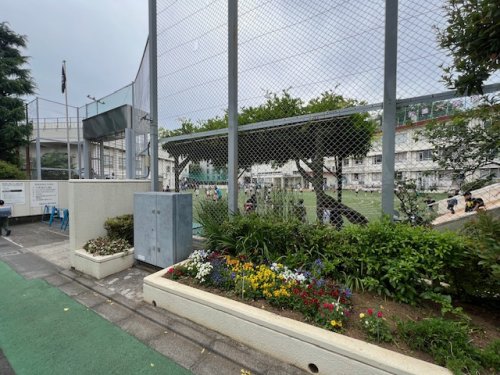 小学校　目黒区立八雲小学校（小学校）まで448m