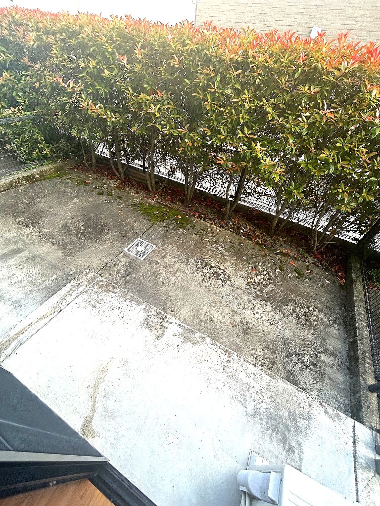 庭