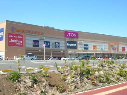 スーパー　イオン浦和美園店（スーパー）まで1300m