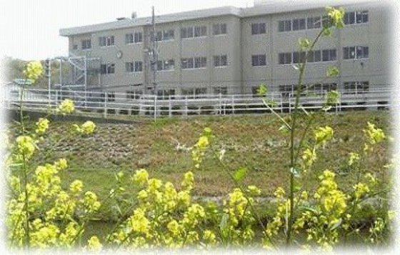小学校　岡山市立横井小学校（小学校）まで554m