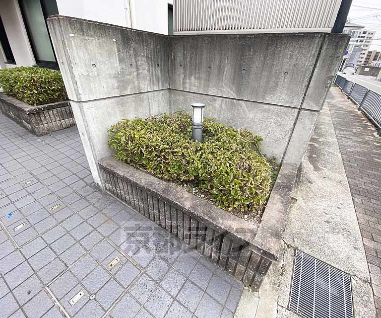 庭