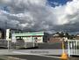 コンビニ　ファミリーマート（コンビニ）まで180m