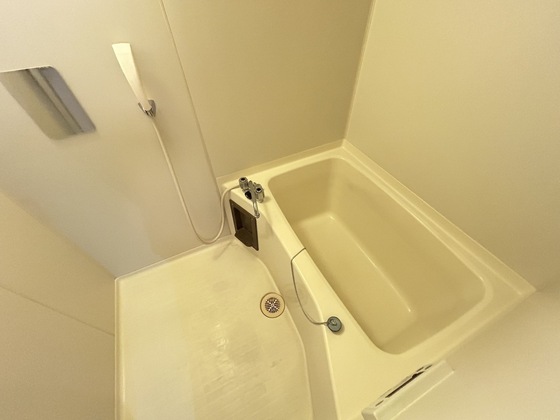 バス・シャワールーム　※別部屋の写真です