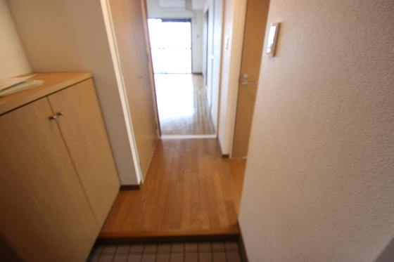 玄関　※別号室の写真です。