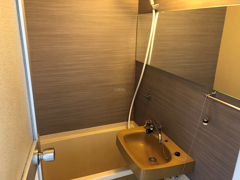 バス・シャワールーム　※同タイプの他のお部屋です