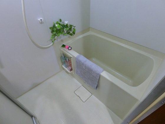 バス・シャワールーム　他号室のお写真です