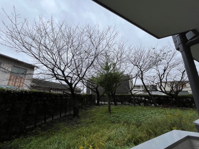 眺望
