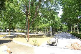 公園　大戸公園（公園）まで865m