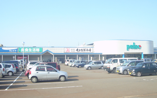 ショッピングセンター　北長岡ショッピングセンターパルス（ショッピングセンター）まで1322m