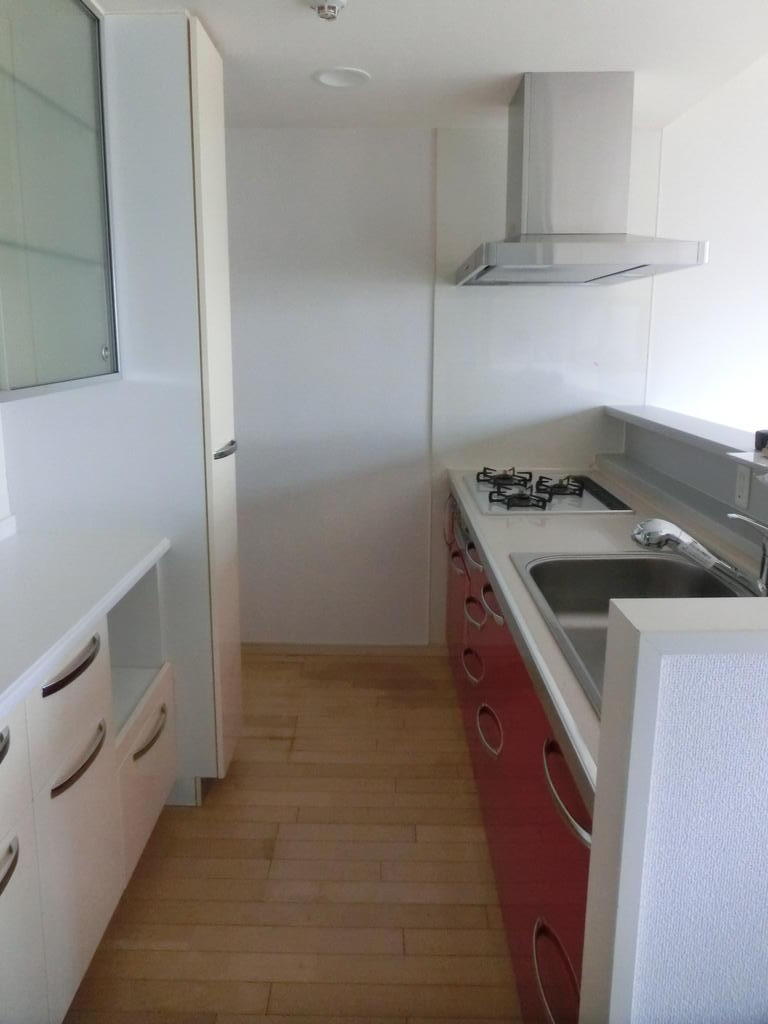 キッチン　ガス３口のカウンター付きシステムキッチン