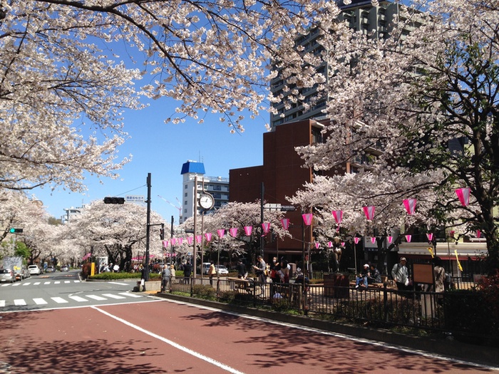公園　播磨坂（公園）まで50m
