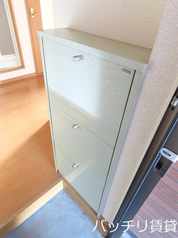 玄関　画像は別号室タイプの為、現状を優先致します。