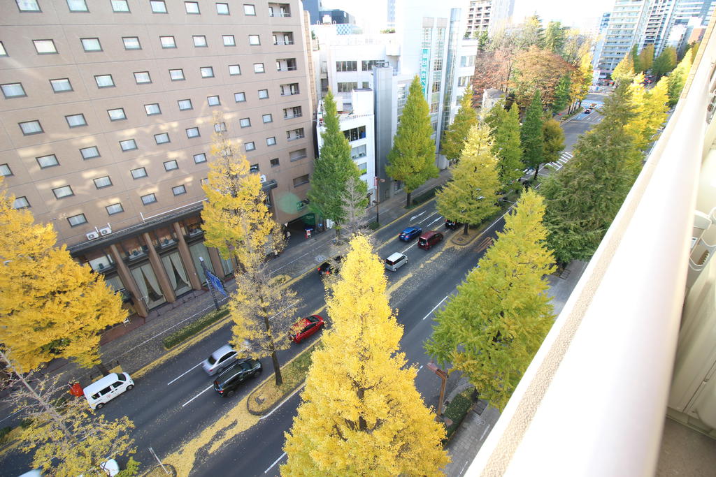 眺望　眺望：マンション目の前は緑が多い通りです(^_-)-☆