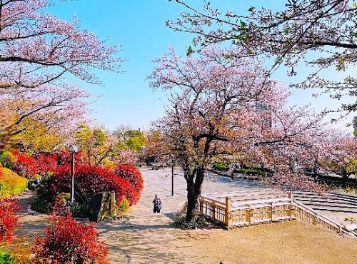 公園　飛鳥山公園（公園）まで1045m