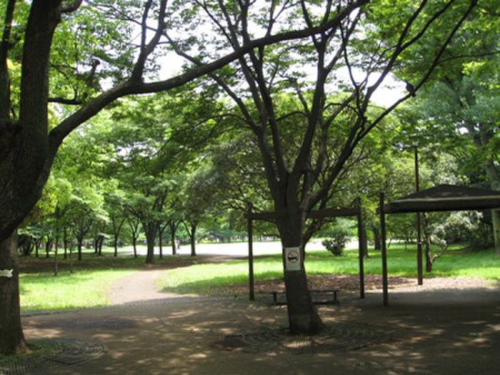 公園　清澄公園（公園）まで1500m
